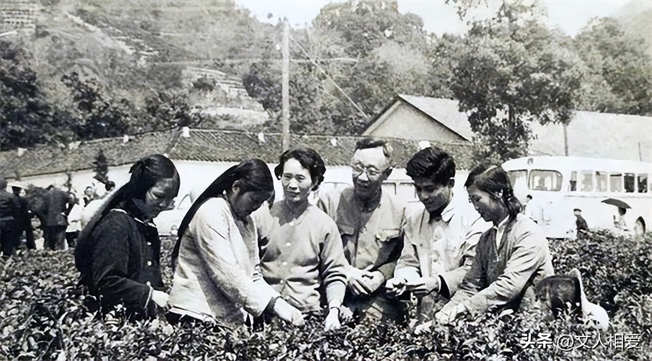 杜聿明和溥仪参观井冈山,溥仪参观井冈山