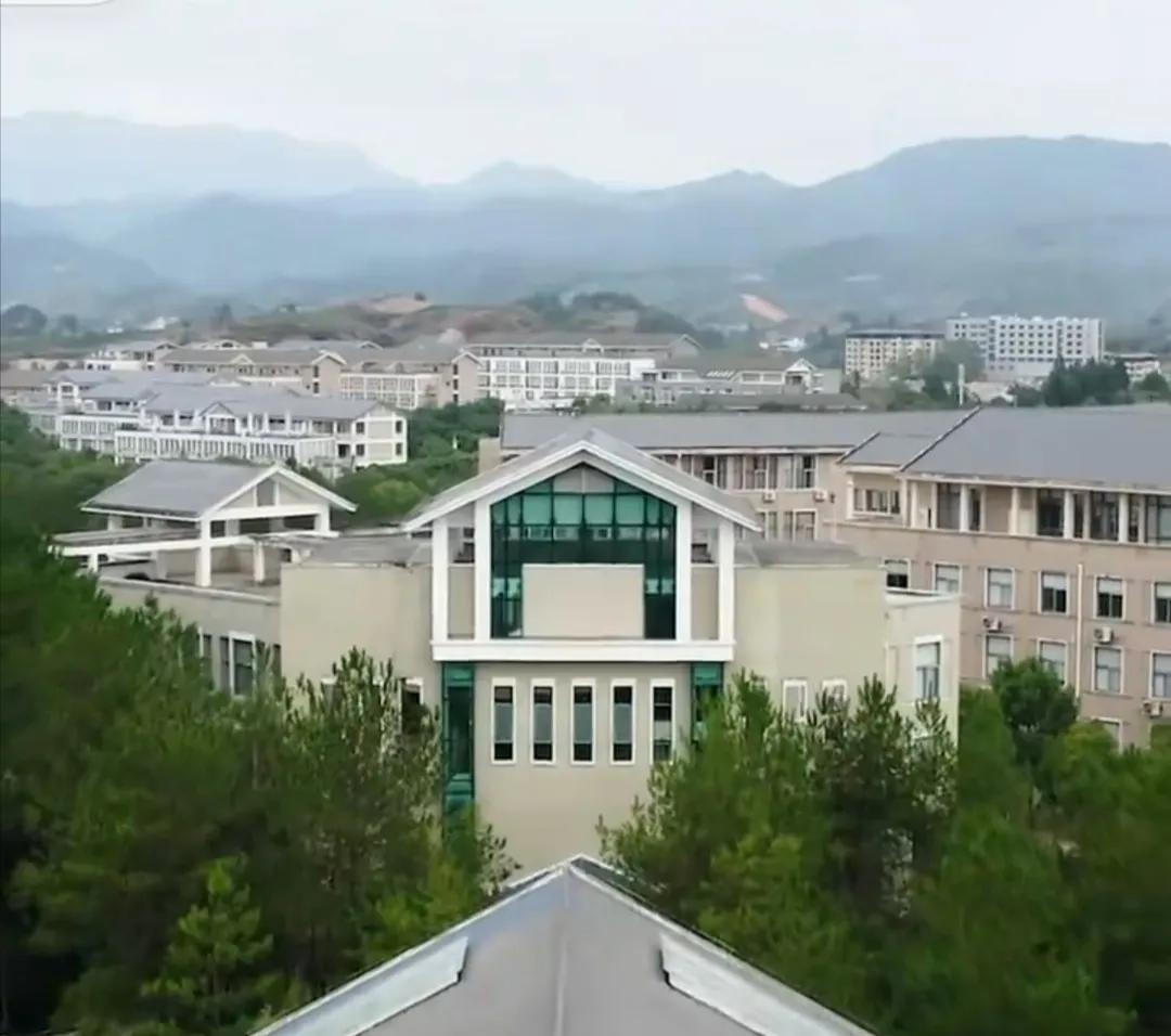 内陆县城经济一片混乱、颓废，靠实体店营生的同仁们，还有未来？