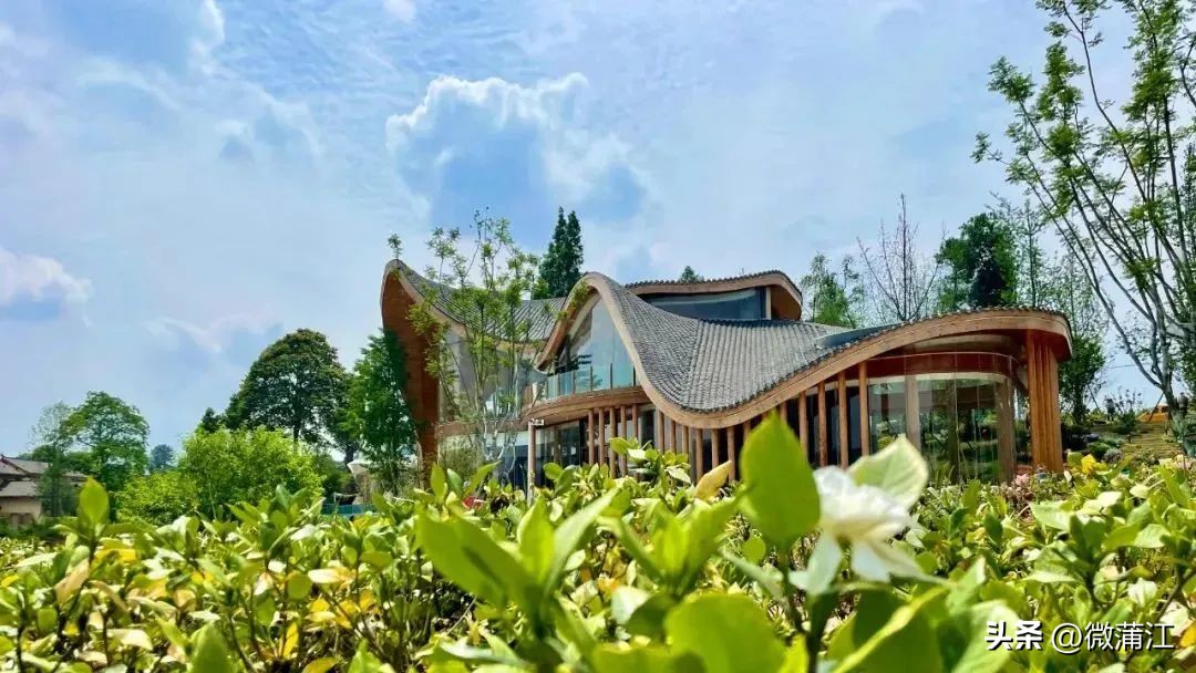 迎新春兔年促消费,迎新春促消费浓浓年味享不停