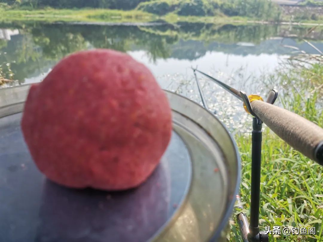 秋季野钓用腥味好还是香味好,四川秋季用腥饵还是香饵