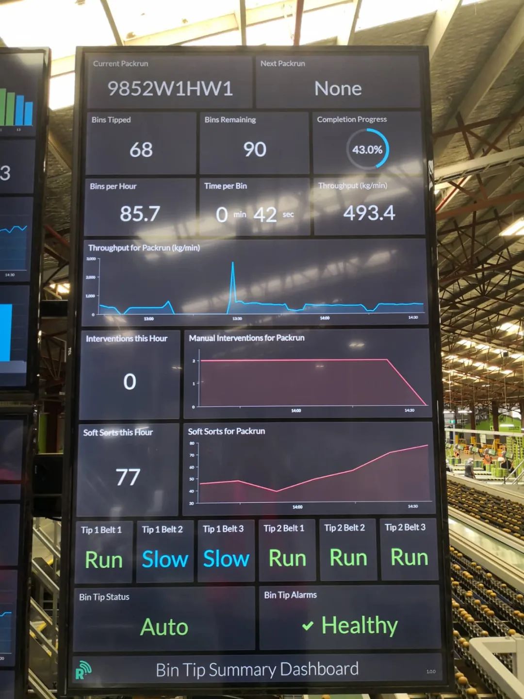 猕猴桃的原产洲在哪里,新西兰猕猴桃发展