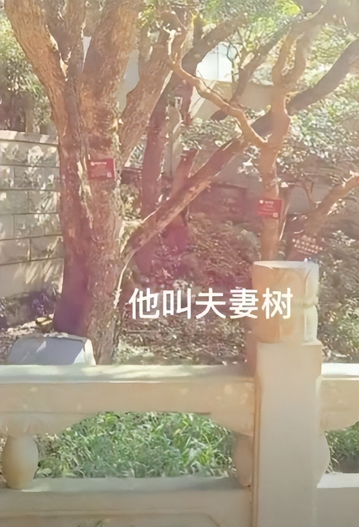 来普陀山什么事不能做,来普陀山有什么注意事项