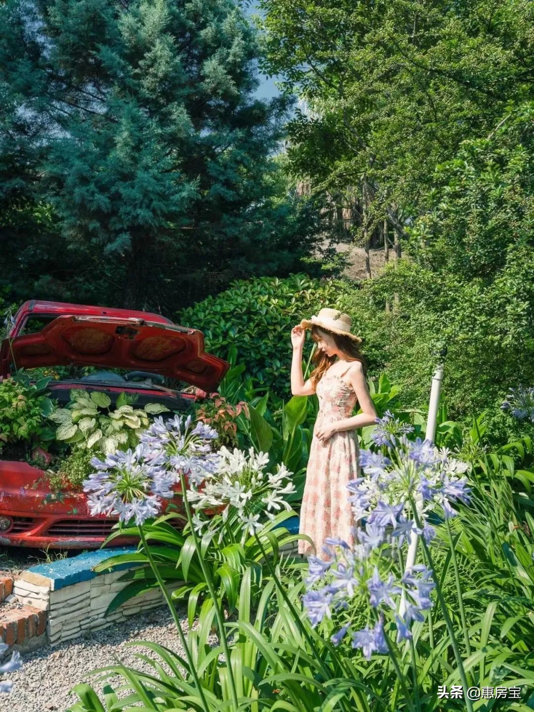 上海公园免费,上海免费公园排行