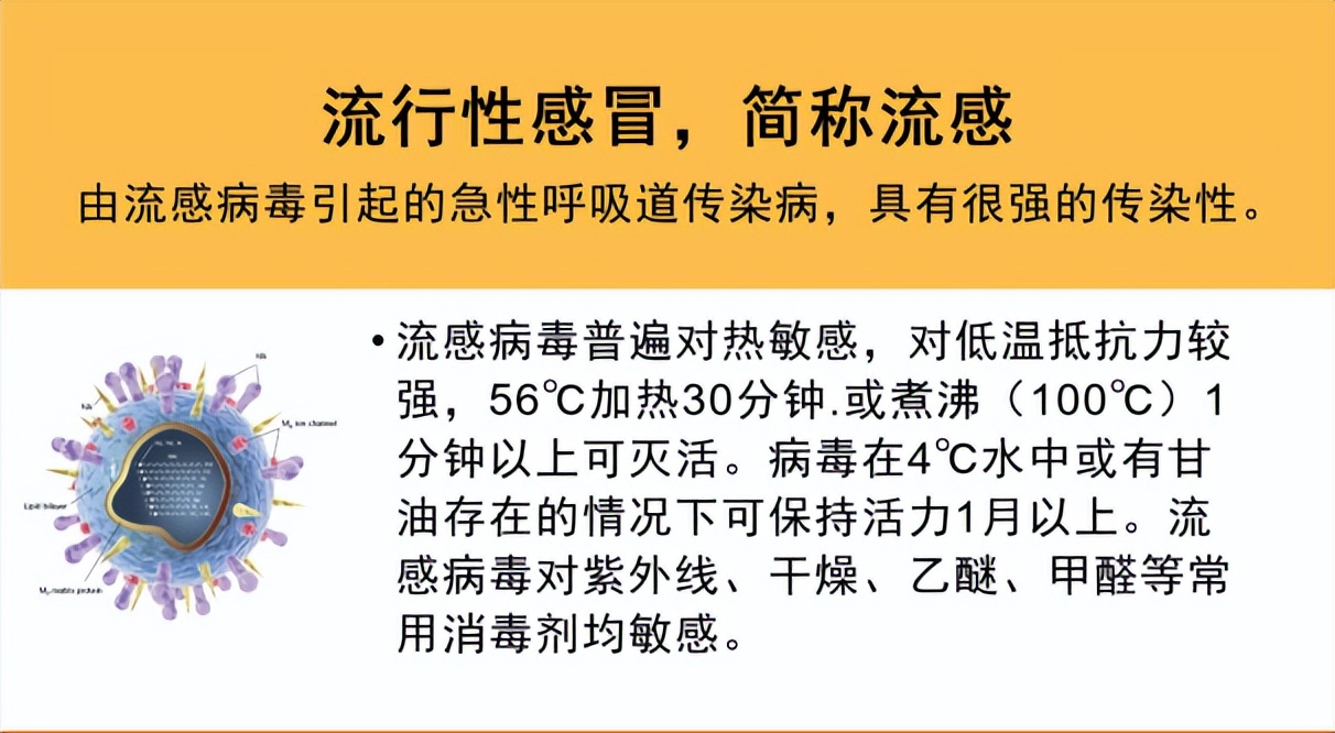 预防传染疾病人人有责,预防各种传染疾病的小结