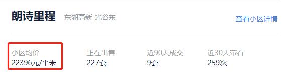 光谷东有哪些房产中介,光谷东房产现状