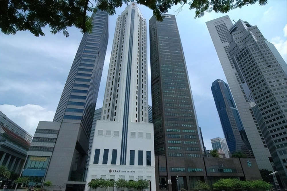 林晓芸的8700亿身家,ceo林晓芸