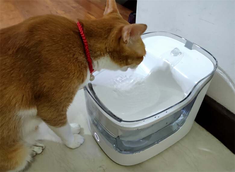 猫自动喂食器和饮水器评测,猫咪自动喂水喂食一体器智能恒温