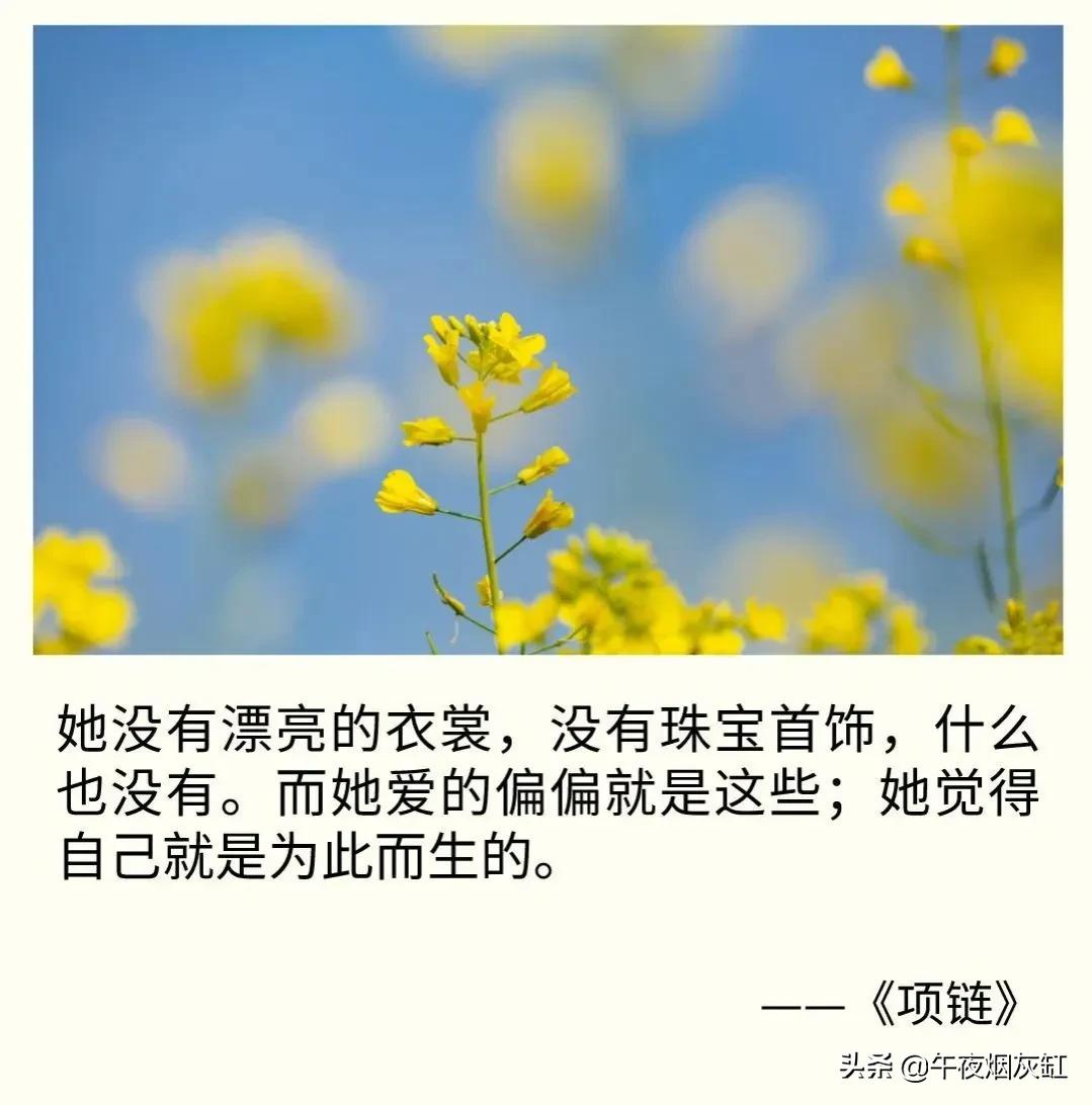 莫泊桑项链告诉我们什么道理,莫泊桑的项链是多少人生的缩影