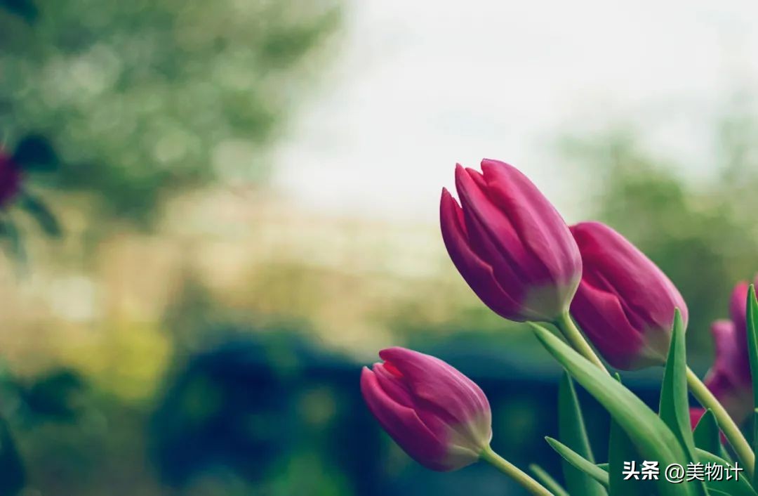 好的人生需要三句话,最好的人生需要这样的配置