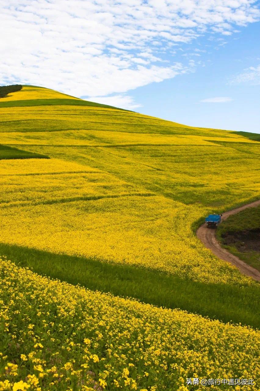 青海贵南旅游攻略,贵德小江南