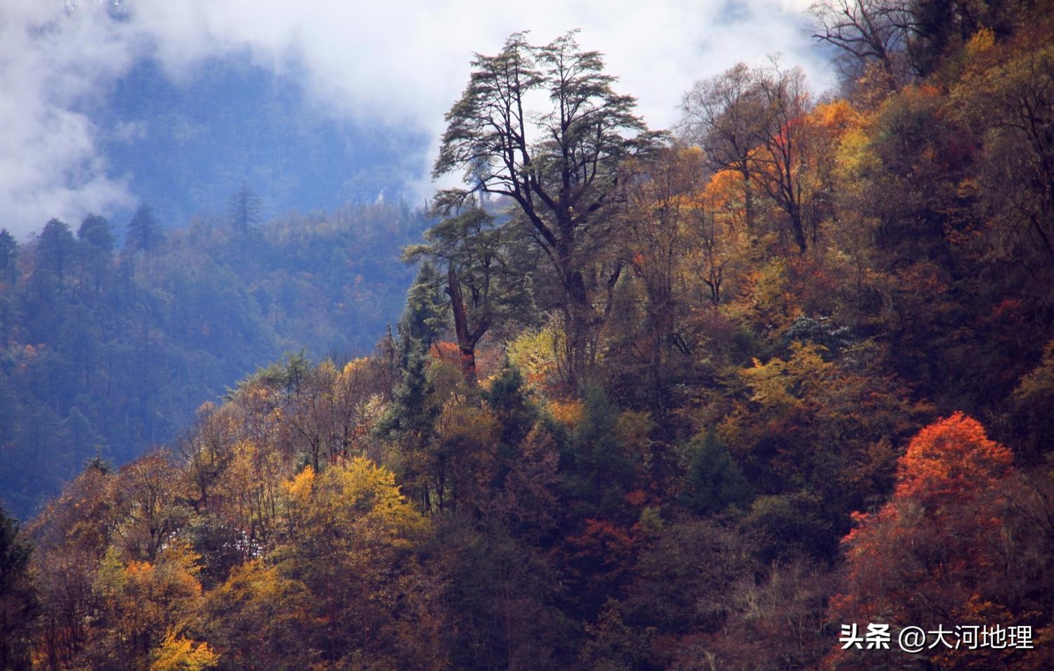 旅游攻略国内十大必去景点南方,中国南方著名景点