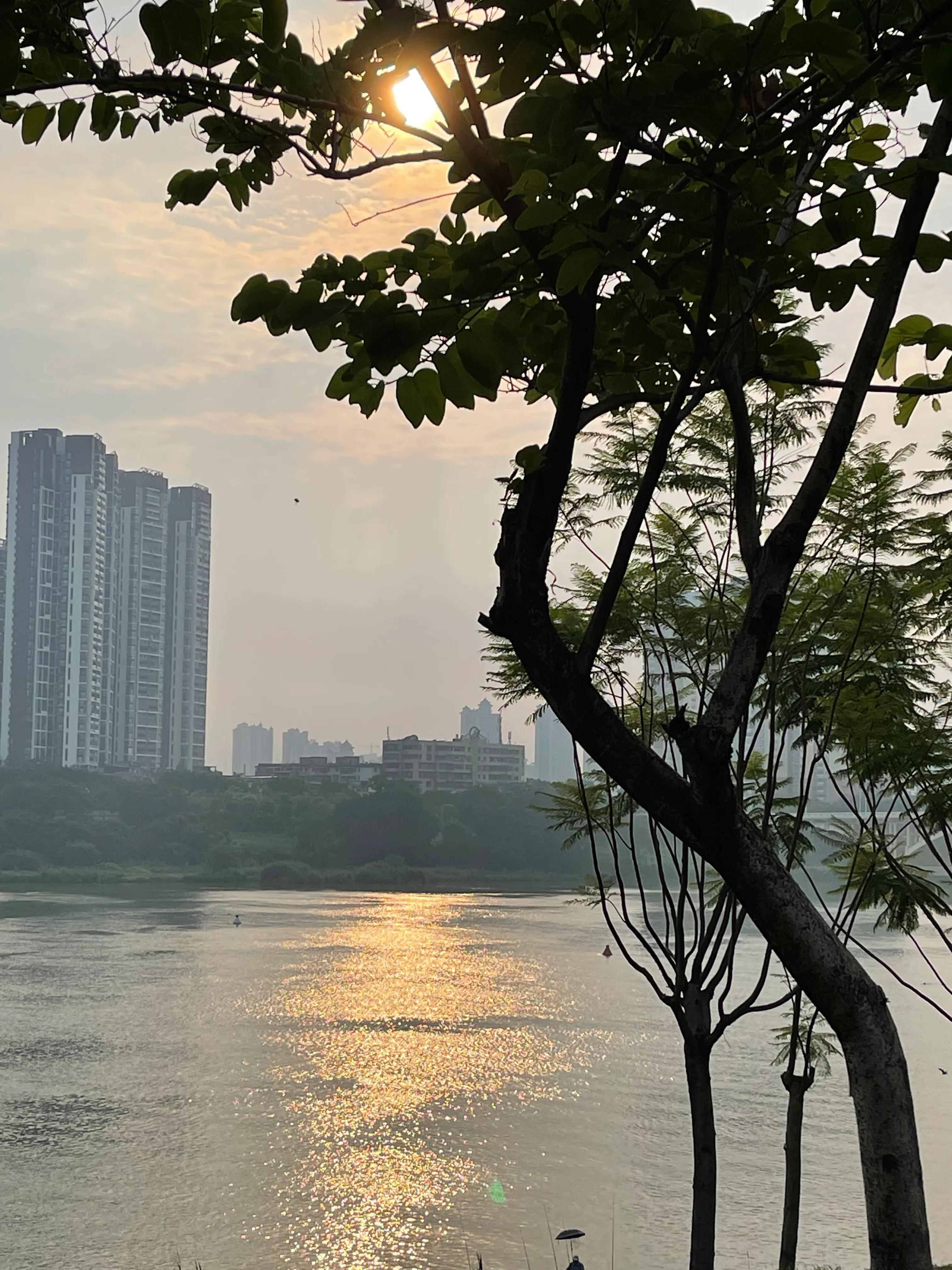 红日江景办证,红日江景最新