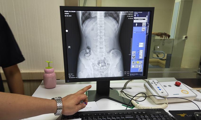 她是最美女死刑犯，包庇男友贩毒被枪决，死前却提出奇葩要求