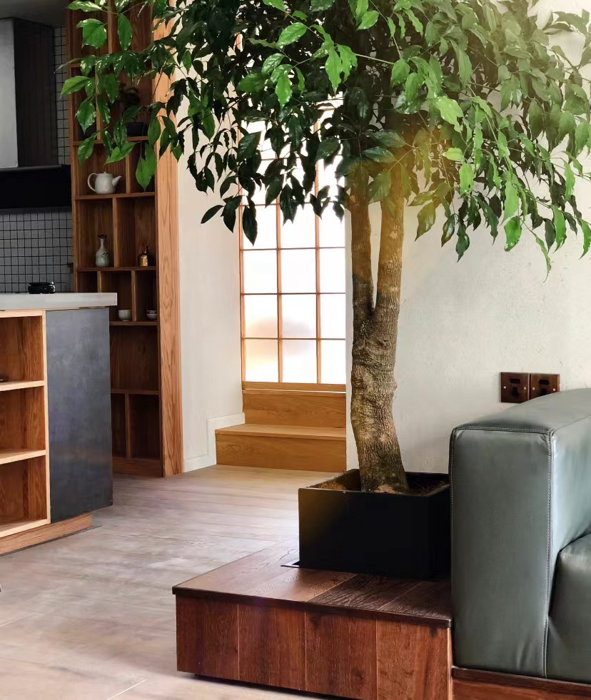 杭州女孩自己设计装修房子,杭州女孩自己装修五层楼大别墅