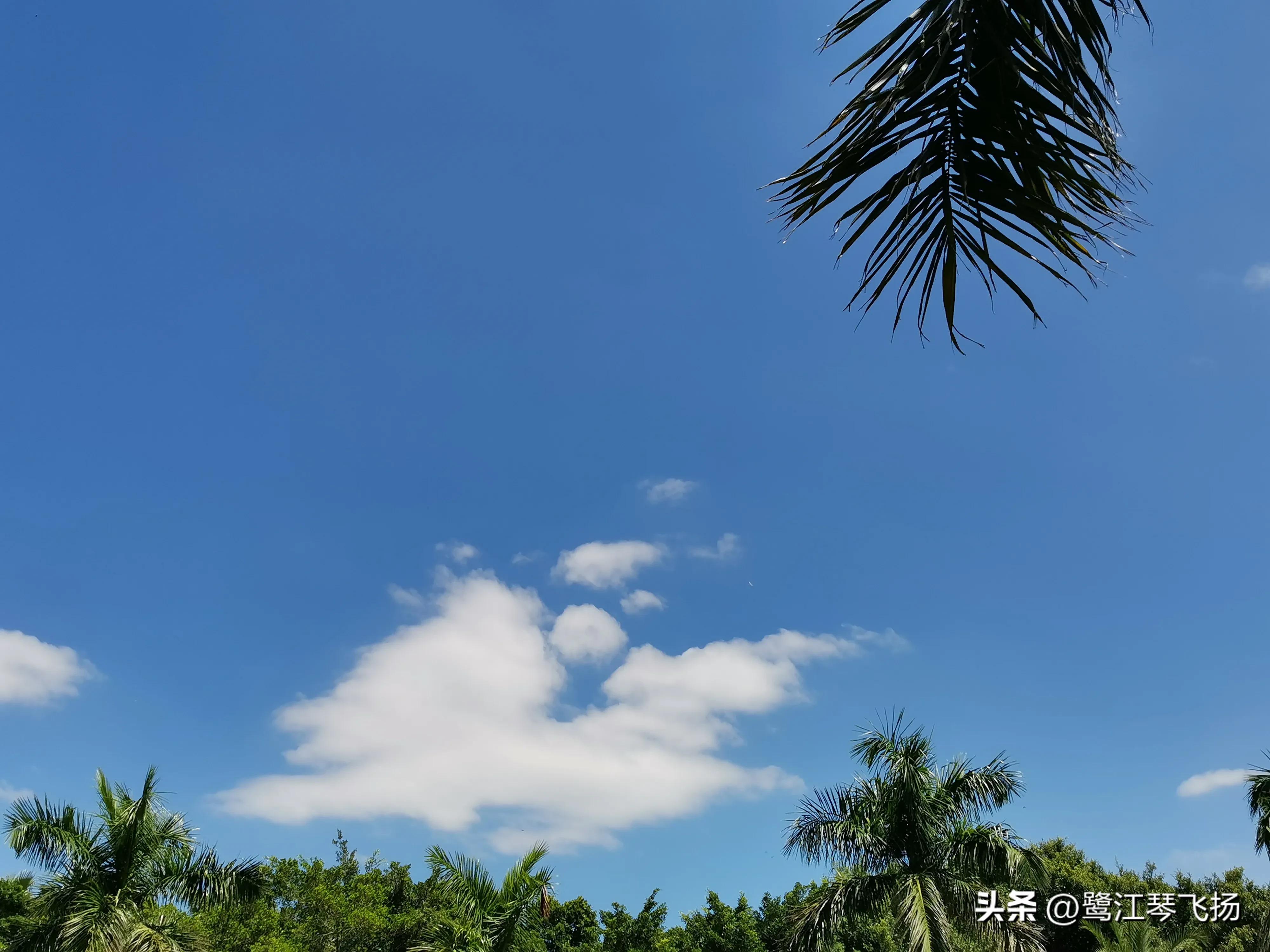 厦门最近桑拿天气,阴雨天厦门好去处