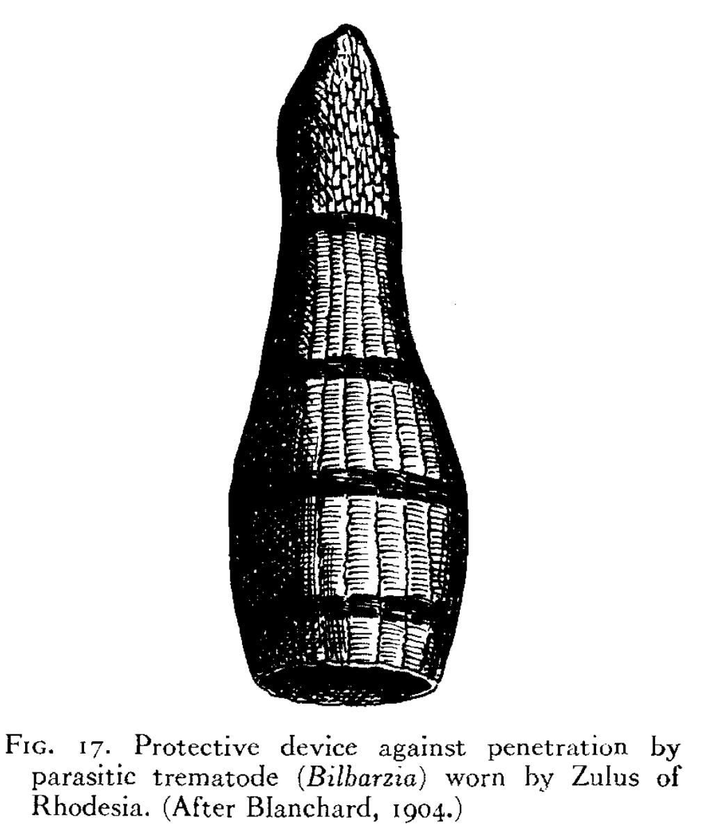 亚马逊河里有哪些特有鱼种,亚马逊河里都有什么鱼