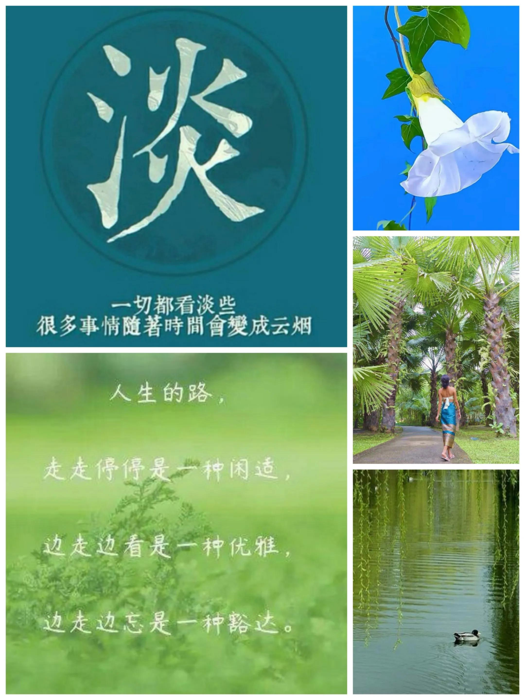 人生哲理意境文字,真字人生哲理