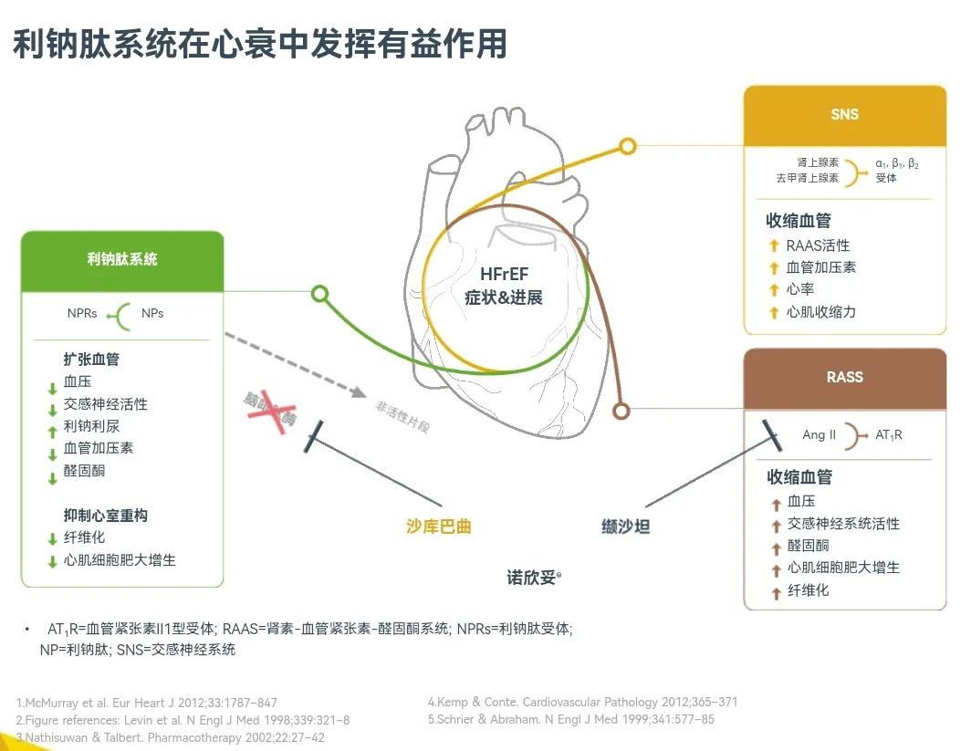 心衰的一般治疗和常用治疗药物,心衰指南药物治疗最新