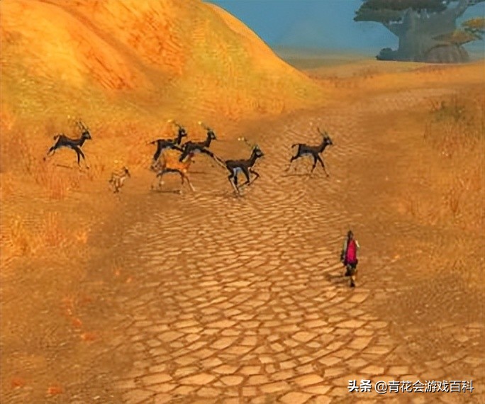 游戏性基本功,游戏基础讲解满满的干货不要错过