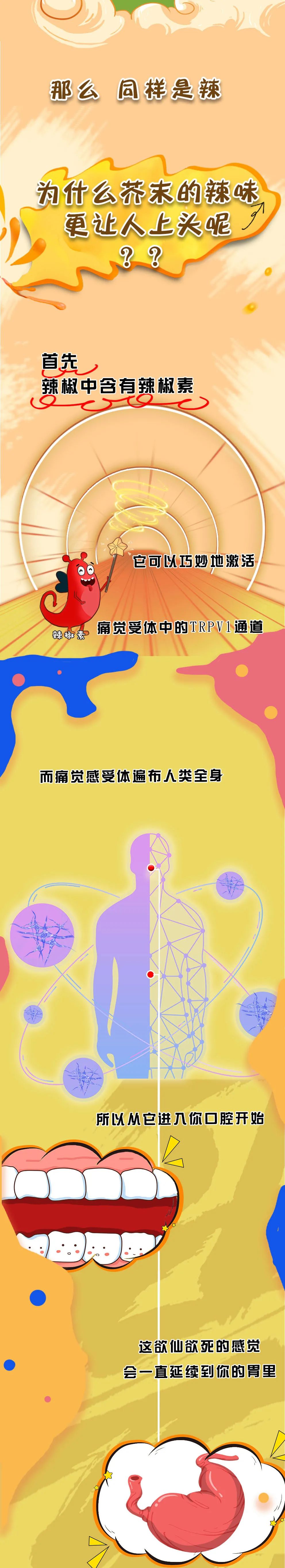 为什么吃辣椒辣嘴芥末辣鼻子,为什么辣椒会辣到眼睛