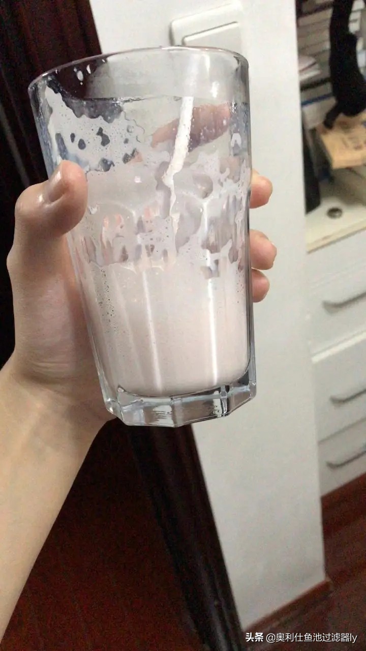 锦鲤鱼池水面有泡沫怎样解决,锦鲤鱼池水面起泡