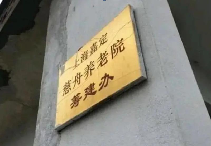 1997年，50个老太太在上海合伙买一栋楼养老，每天种花养草