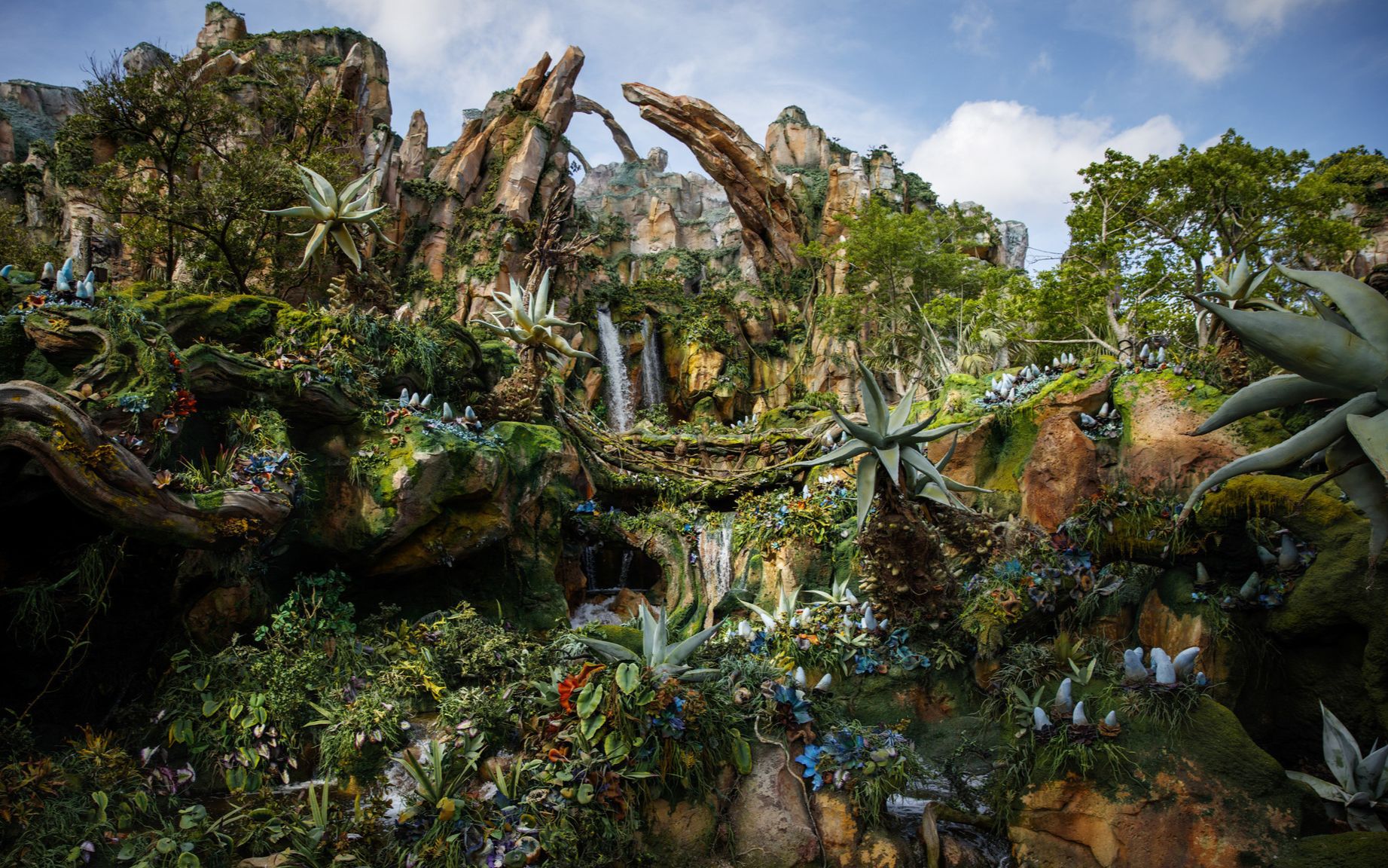 目前人类发现外星生命了吗,人类有没有发现外星人的迹象