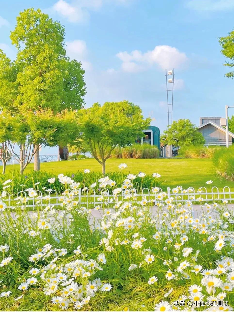 夏日必备快乐文案短句图片,夏日炎炎发朋友圈文案图片