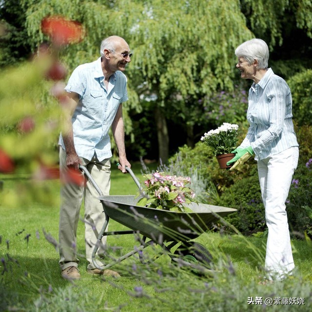 沉沦的女人（小小说）上篇