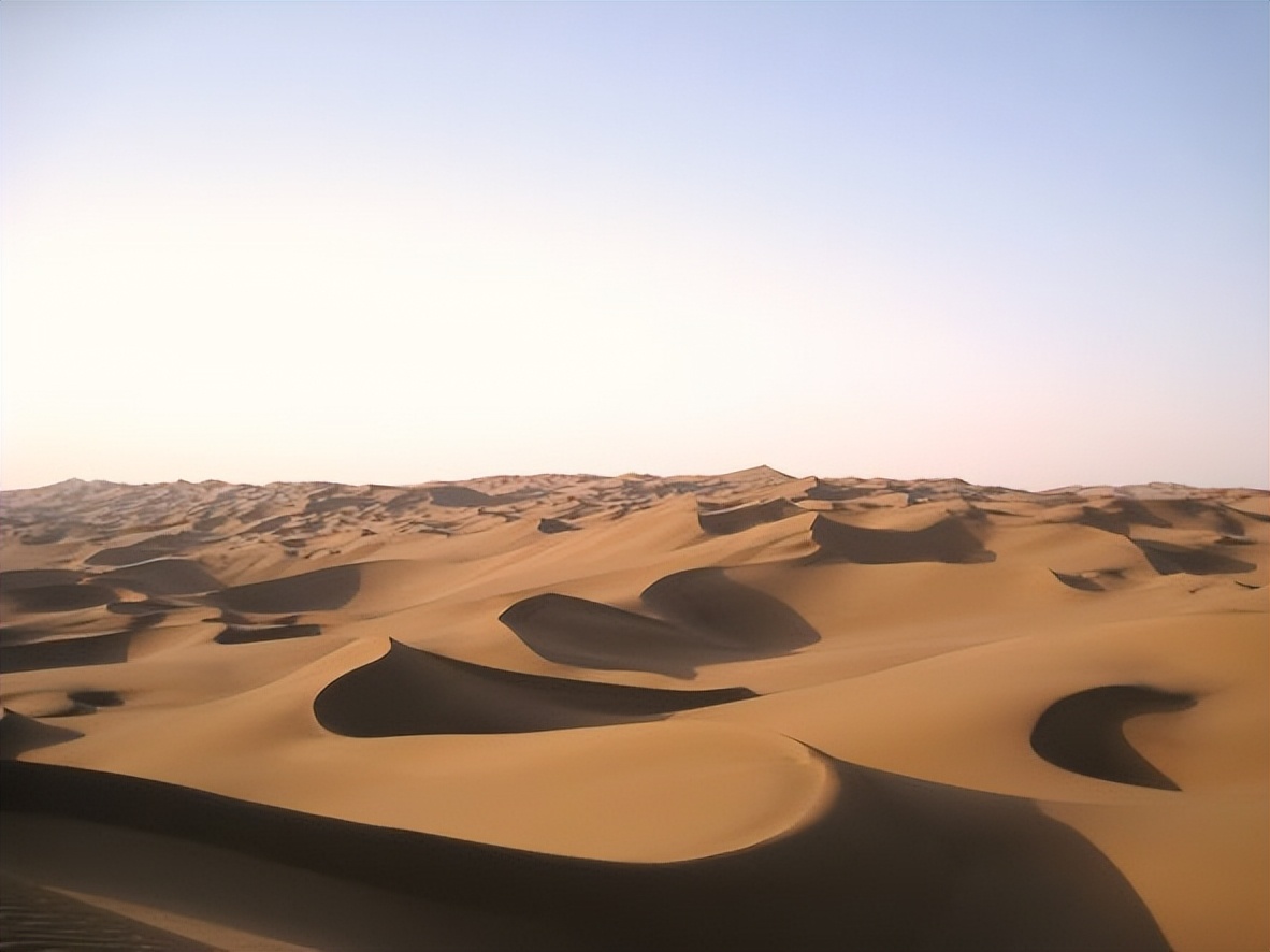 生活只剩下眼前的苟且英语,生活只剩下工作