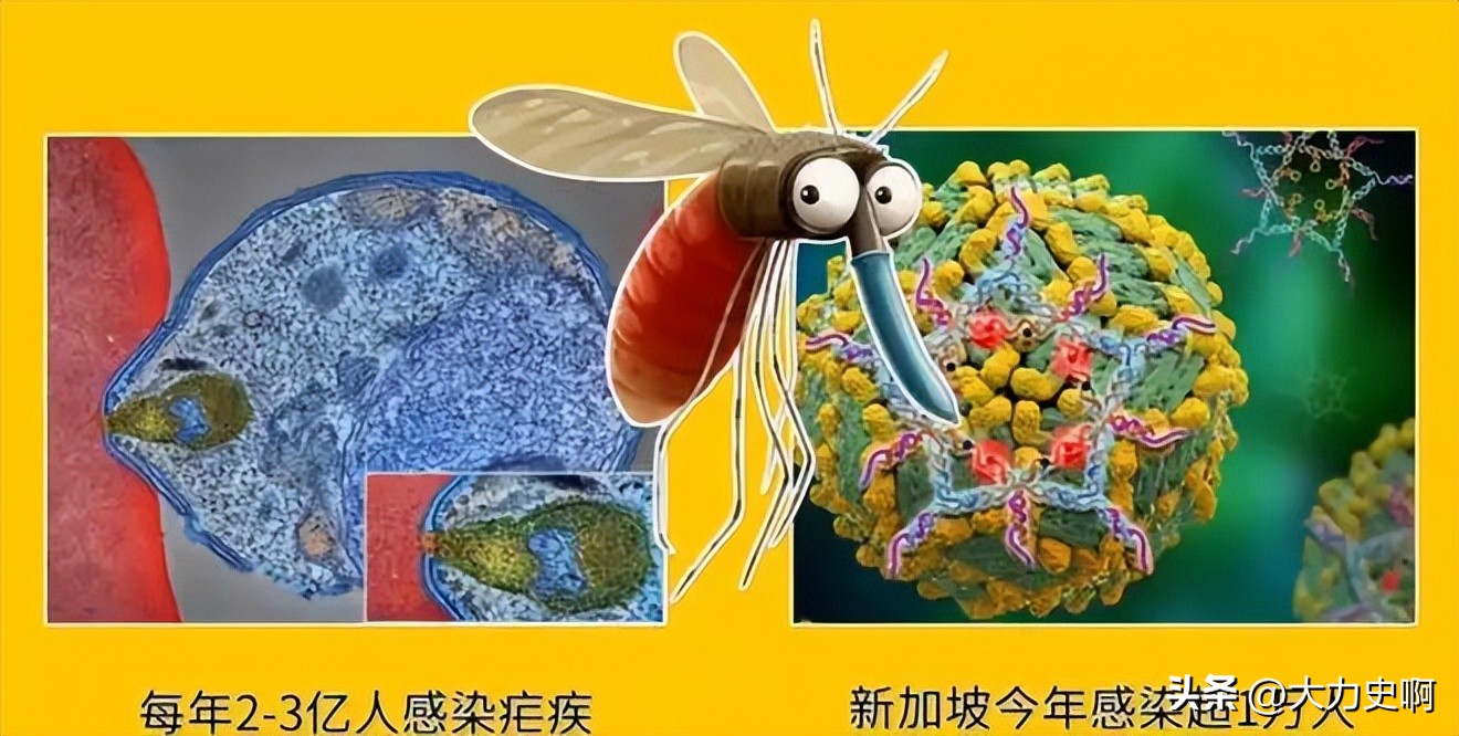 古代刑罚蚊刑,古代的蚊刑有多严重