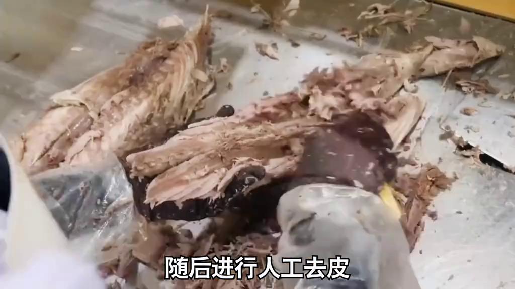 水浸金枪鱼罐头吃法,深海黄鳍金枪鱼罐头