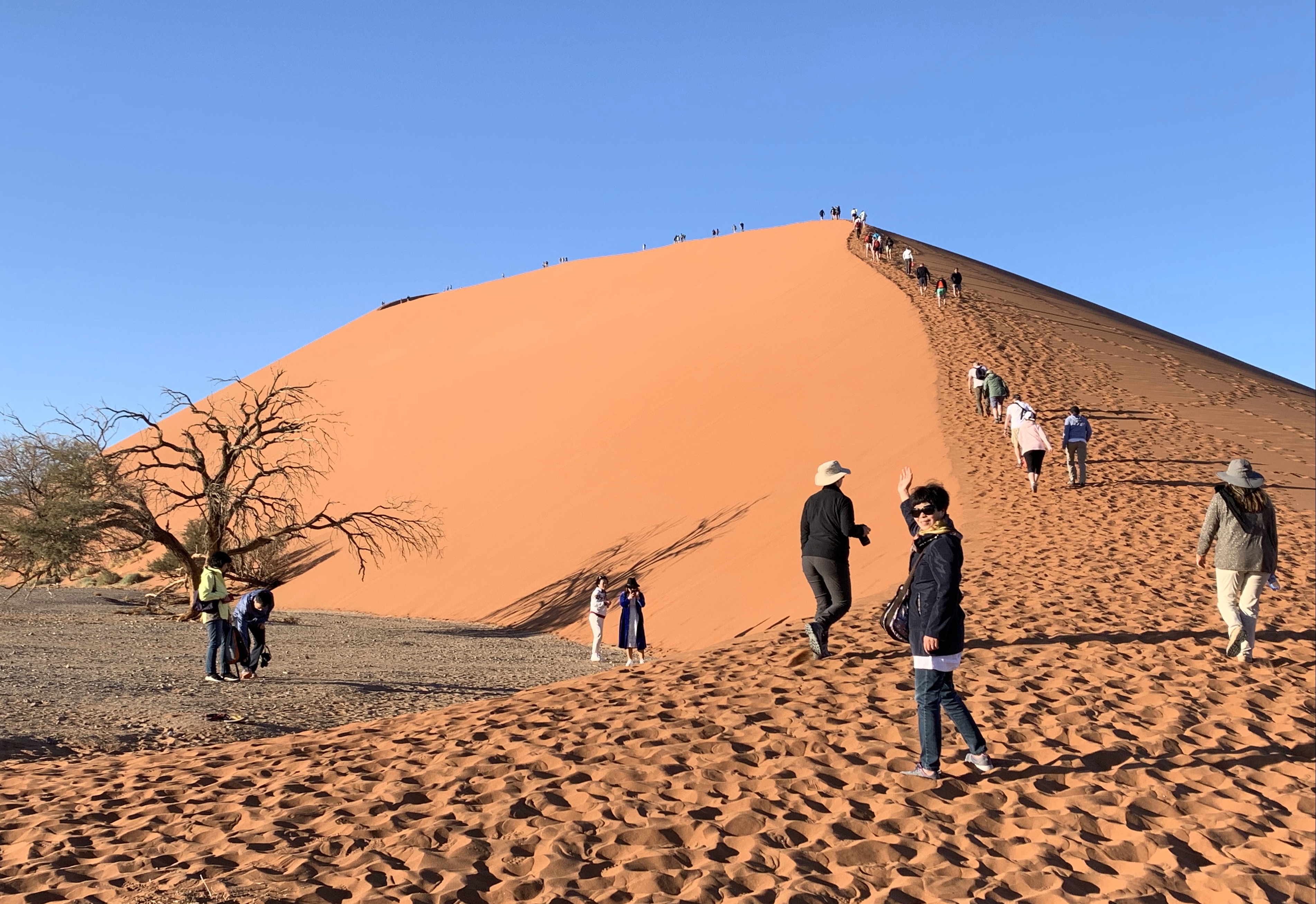 绾崇背姣斾簹绾㈣壊娌欐紶,绾崇背姣斾簹娌欐紶涔嬫梾