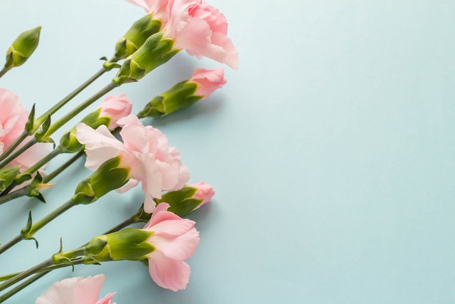 让你身材变好的三个动作,每天坚持10分钟练就完美身材