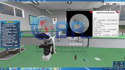 化学虚拟仿真实验室,课堂化学仿真实验软件