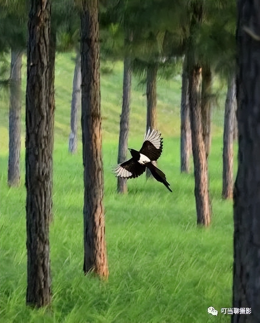 照片拍摄现场分享,说说摄影组照怎么拍摄