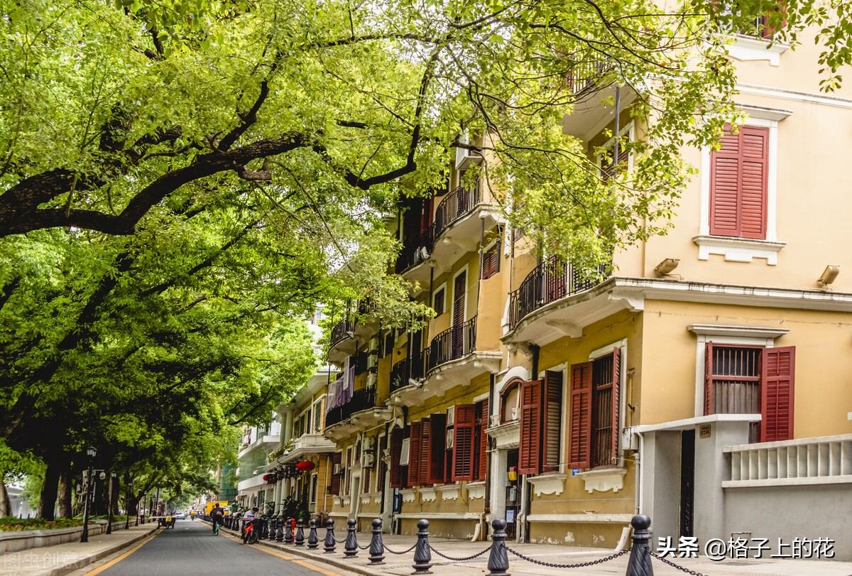 广州一座包容性极强的城市,广州一个有包容和人情味的城市