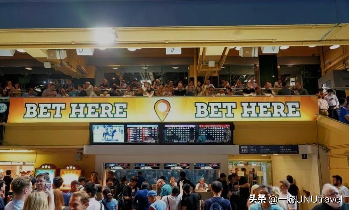 你了解香港赛马吗?这篇文章告诉你怎么去赛马会玩!