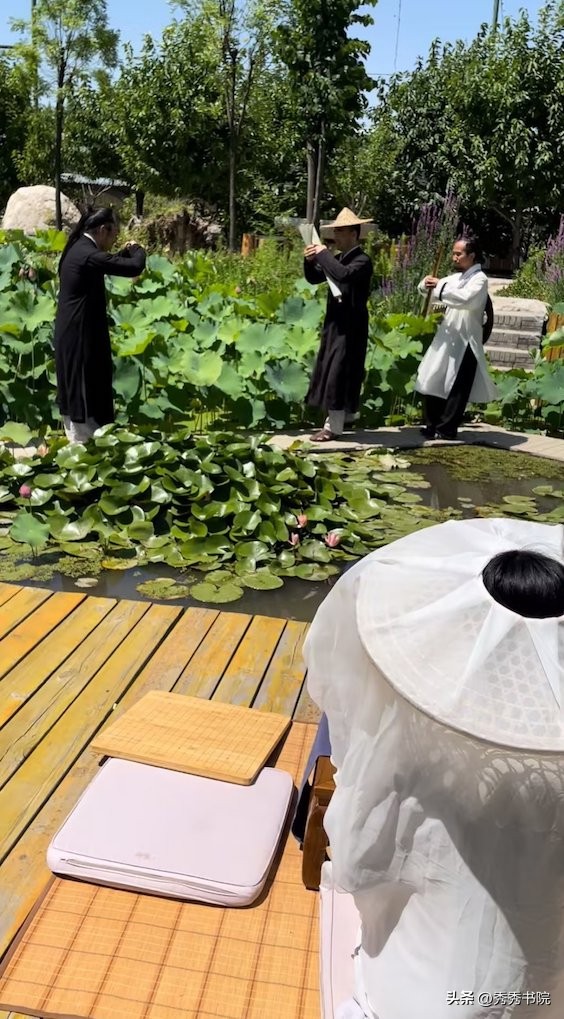 秀秀茶艺培训中心评论,秀秀茶艺班