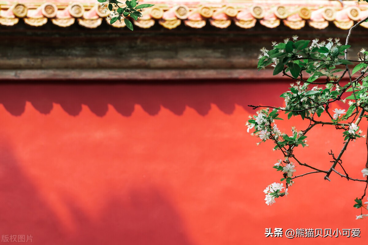 11月份通胀系数中国,最新通胀数据公布传递出哪些信号