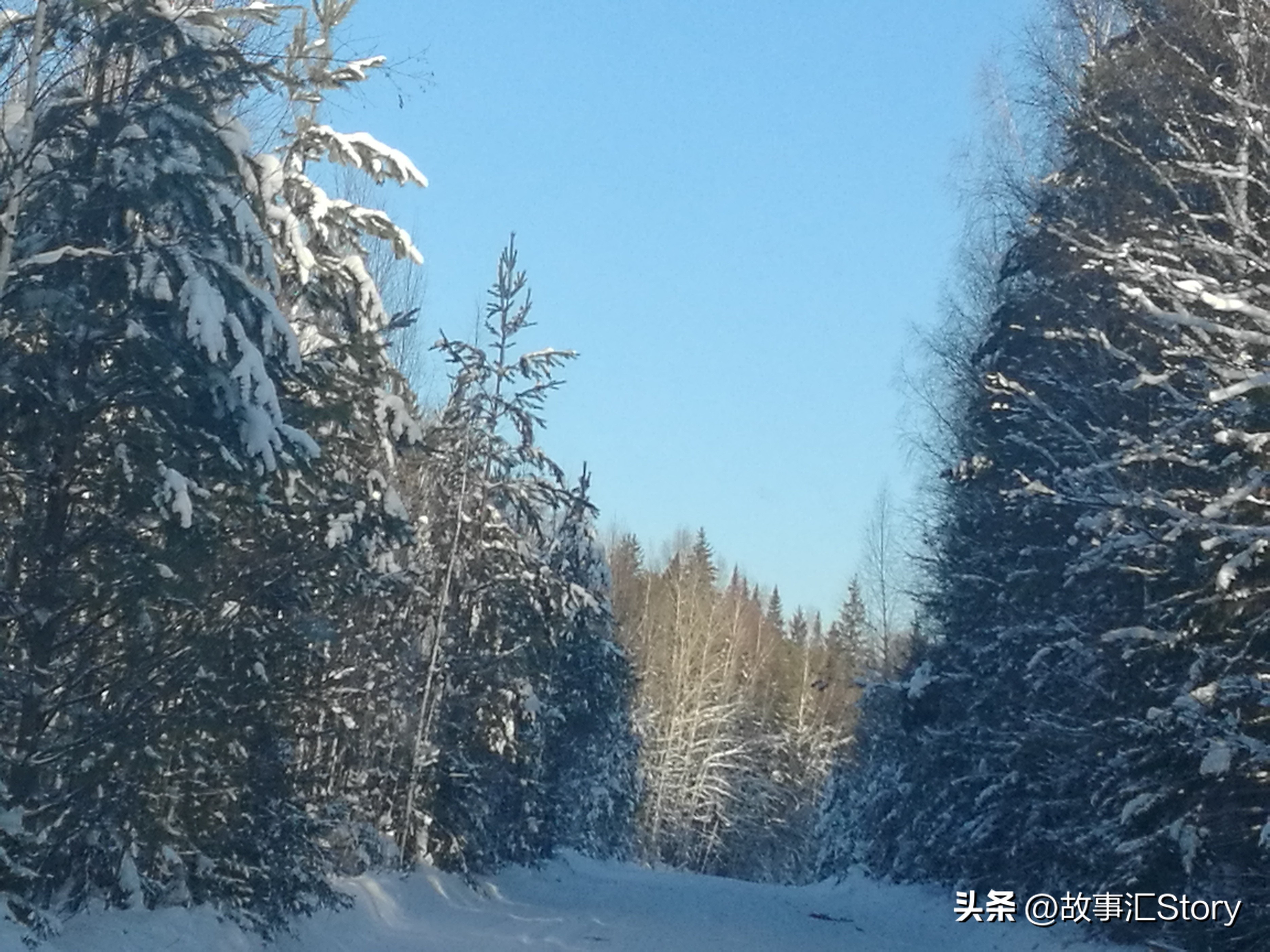 老陈在乌克兰,老陈在俄罗斯