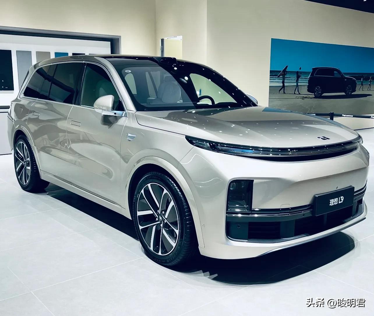 理想l9车主缺点,理想l9用的米其林什么轮胎