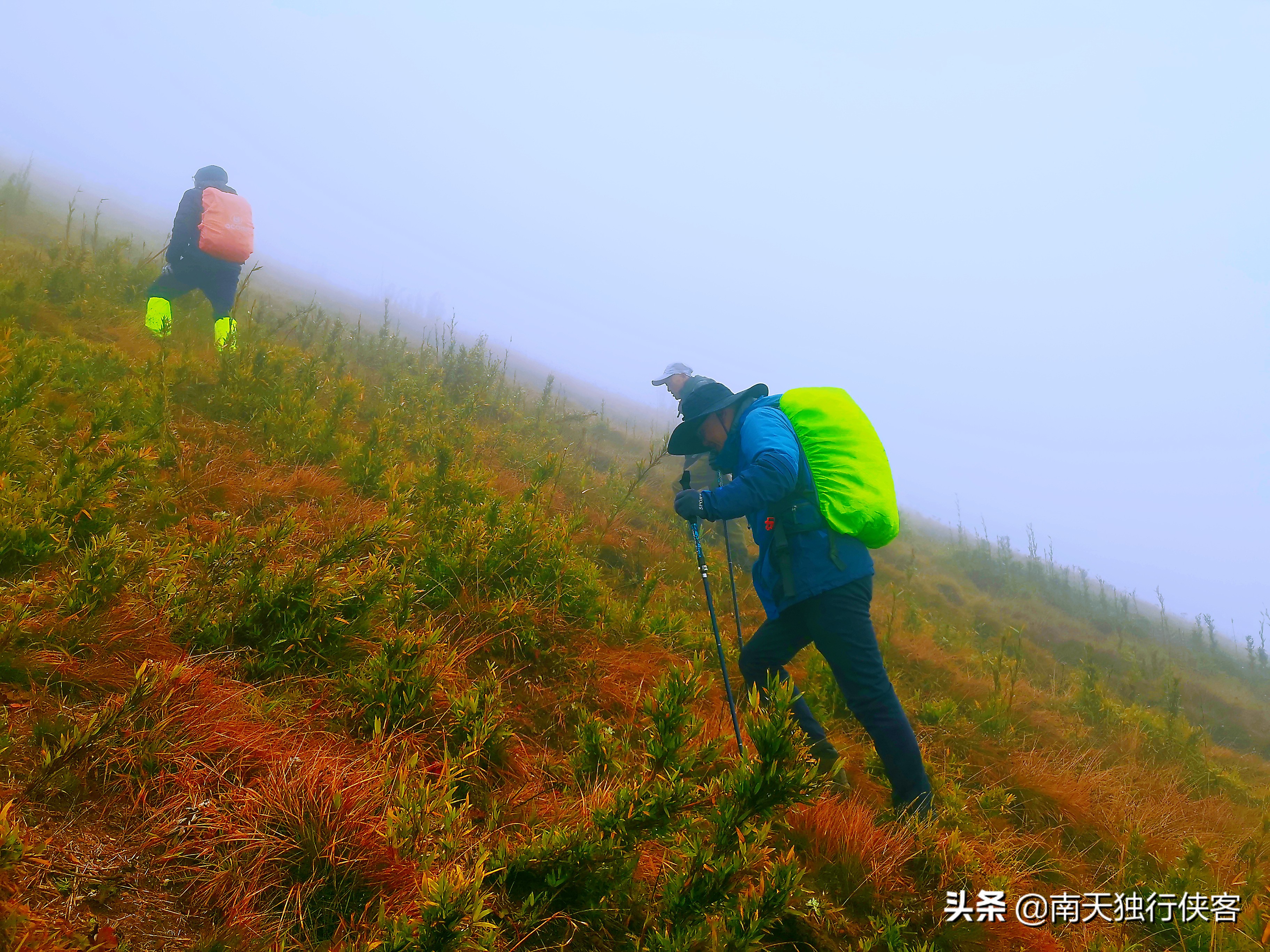 穿越时空美丽的云南,穿越迷雾丛林见美景