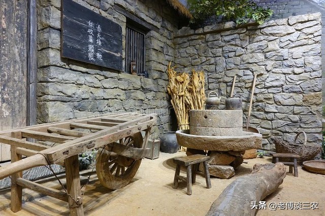 庭院经济首次被写入中央一号文件,中央一号文件庭院经济