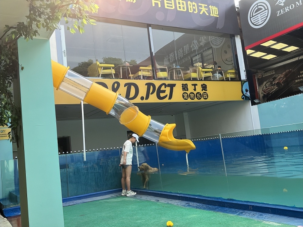 厦门小型宠物寄养店在哪里,厦门宠物专业寄养中心电话