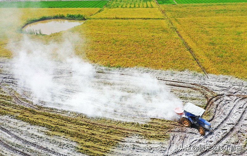 生石灰对种地有什么好处,生石灰农业什么时候用最好