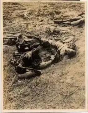 七七事变日本全面侵华时间,七七事变之后日本有哪些侵华行为