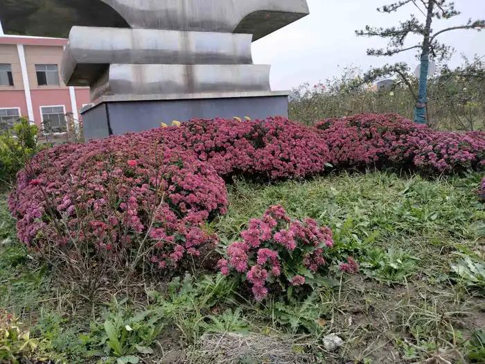 画与景,幼儿长卷画景