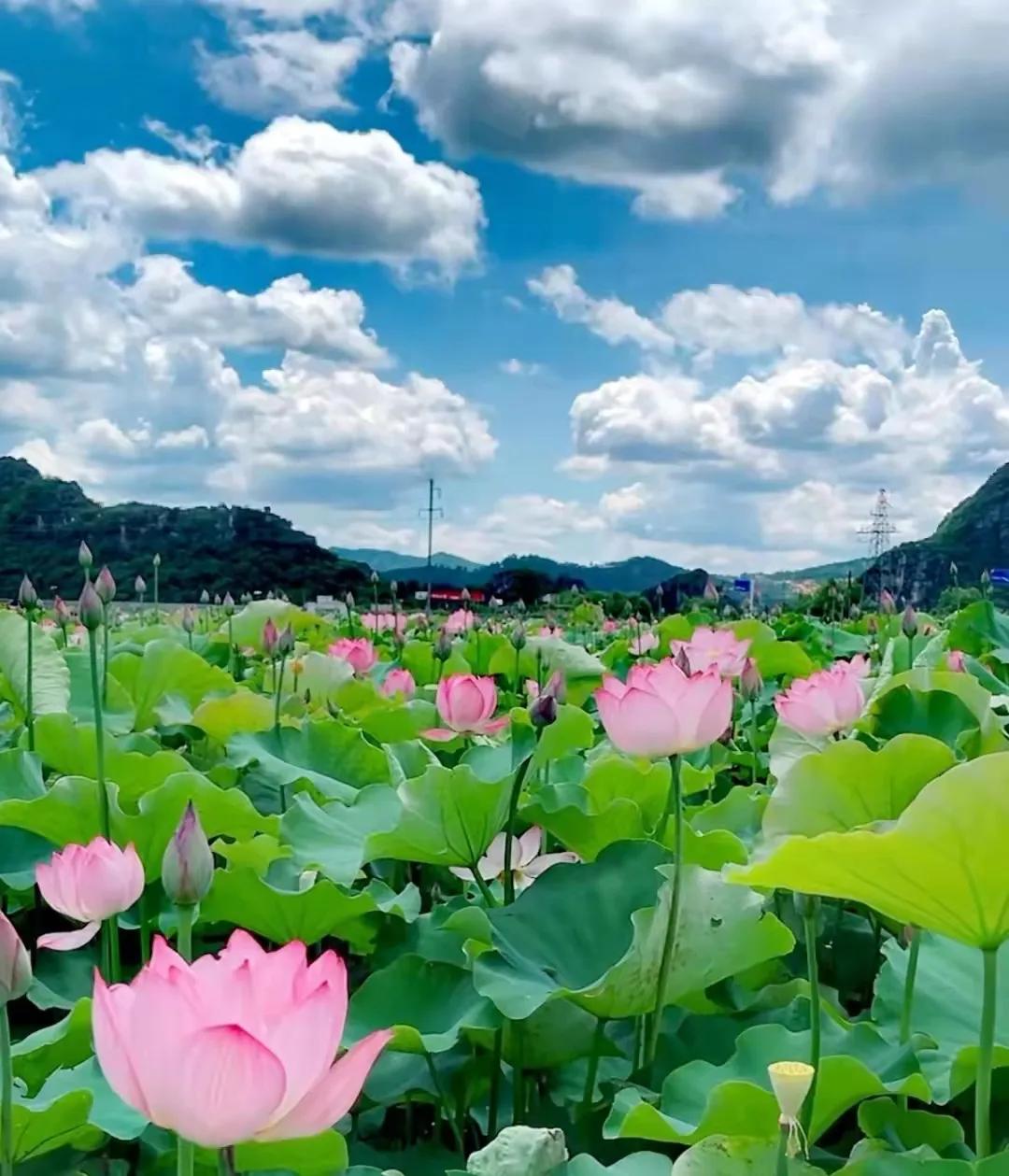 云南旅游避暑景点有哪些地方好耍,云南避暑美食胜地