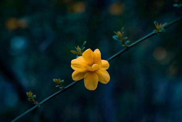 男人撩你和爱你，连发微信的方式都不一样